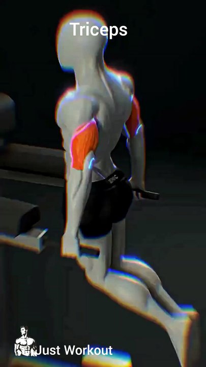 Bigger Tricep nd Chest