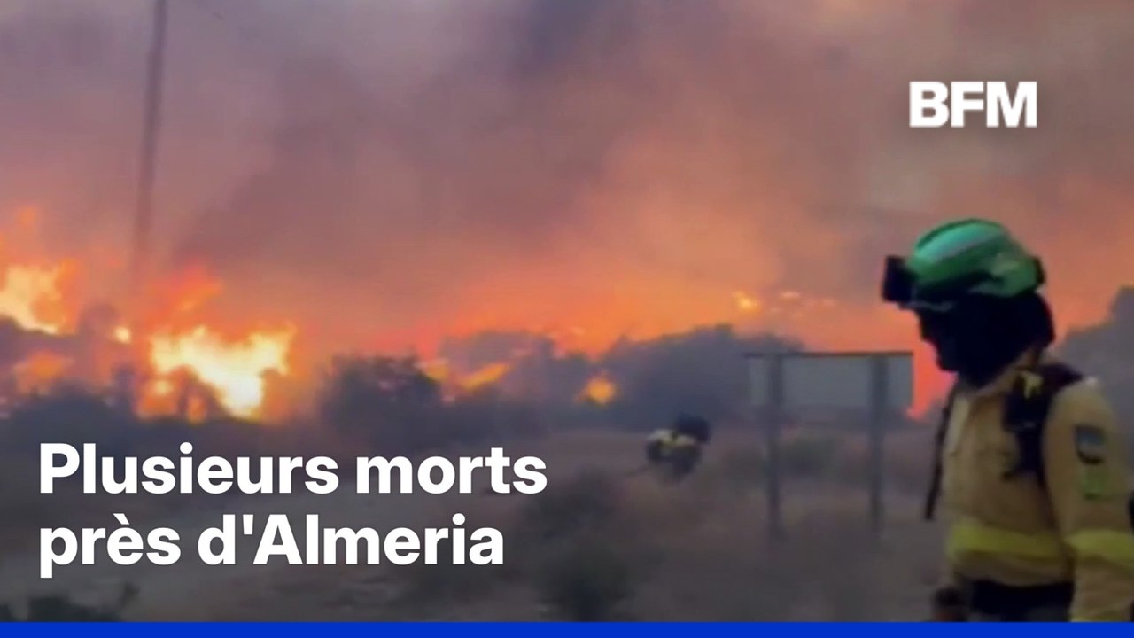 Espagne: le bilan dramatique des feux de forêt en Andalousie
