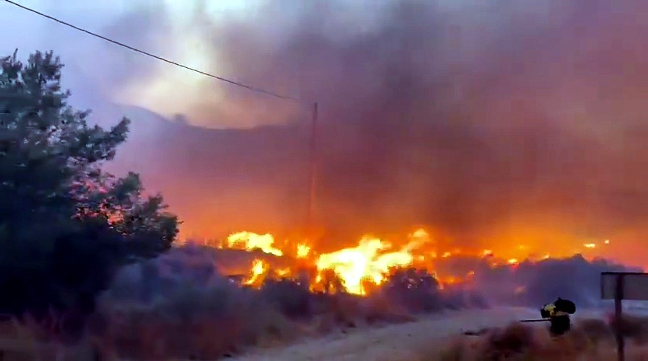 Incendio in Andalusia, almeno 11 morti e 23 dispersi a Los Gallardos: evacuati residenti e turisti