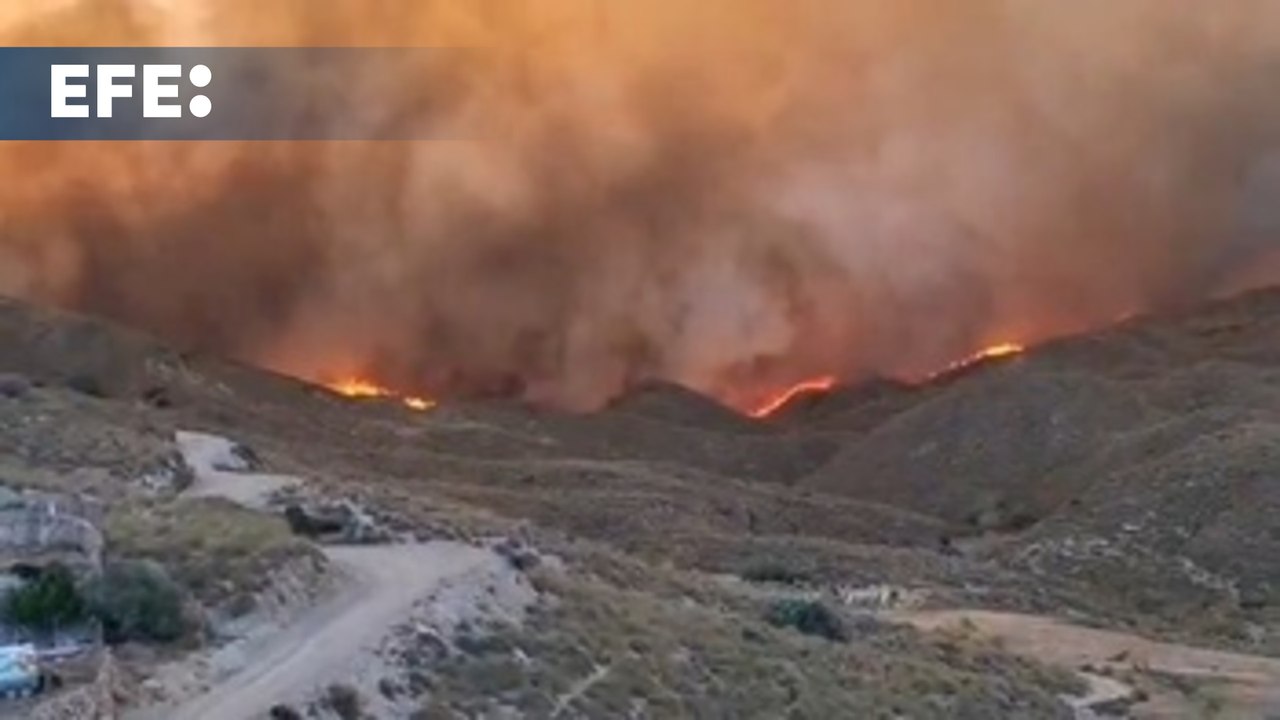 Once muertos y ocho heridos en el incendio de Almería, que ya ha arrasado 3.150 hectáreas