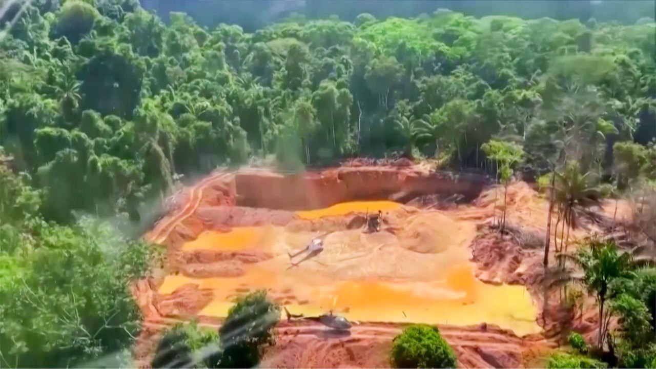 Amazon deforestation drops under new Brazilian president