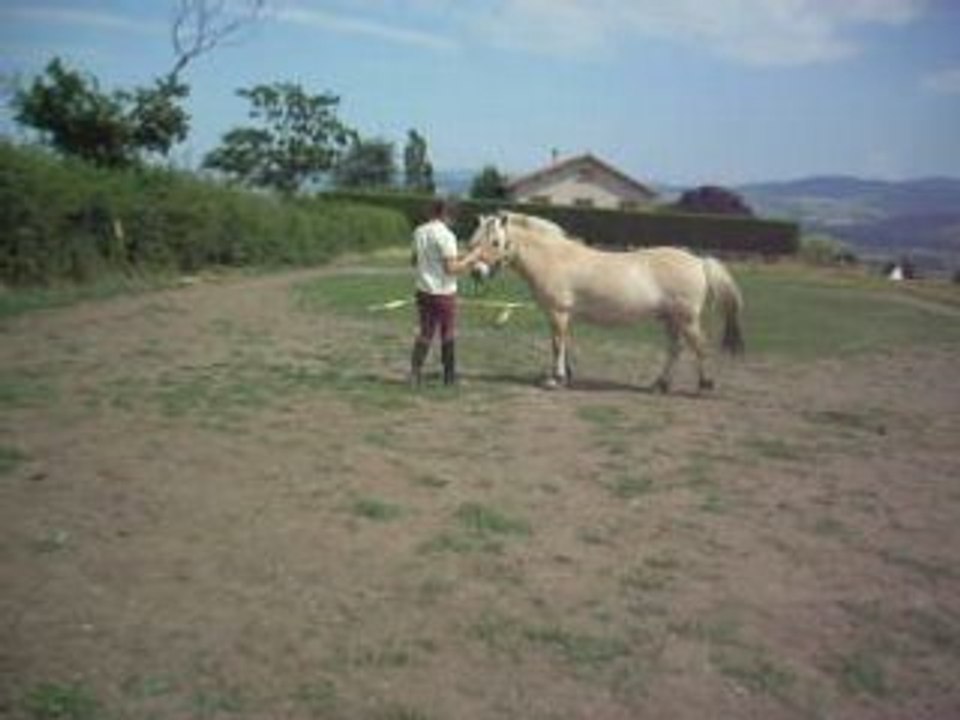 Pas bouger