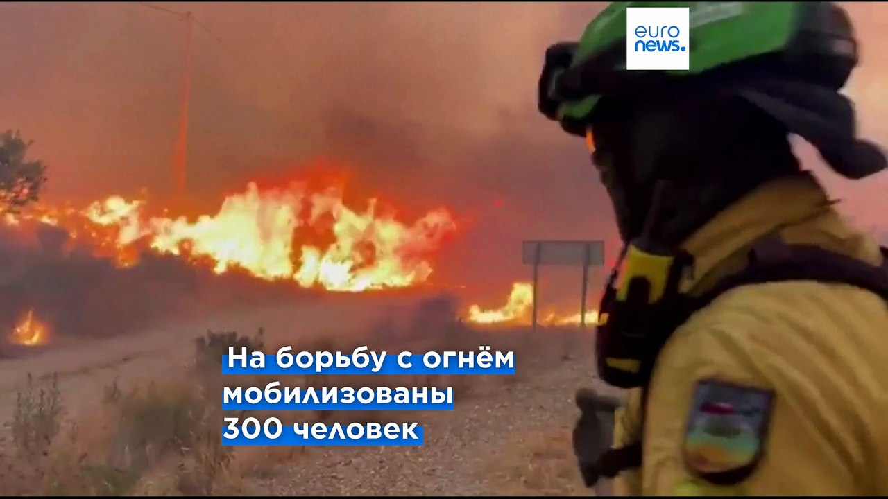 12 человек погибли в результате лесных пожаров...