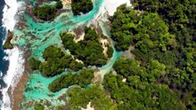 Islands Planet Earth II 岛屿上独特
