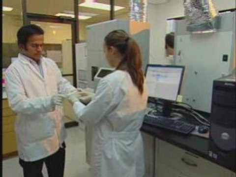 DNA Tests, DNA Identity Testing, Paternity DNA Testing