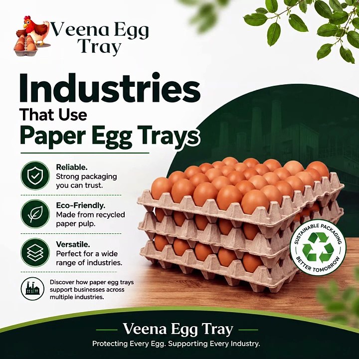 Industries That Use Paper Egg Trays | Eco-Friendly Egg Packaging Solutions | Veena Egg Tray