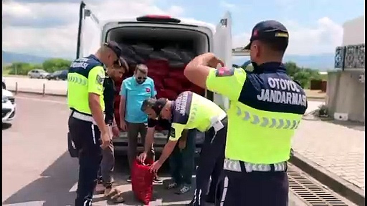 Yalova’da 3 Ton Kaçak Midye Ele Geçirildi