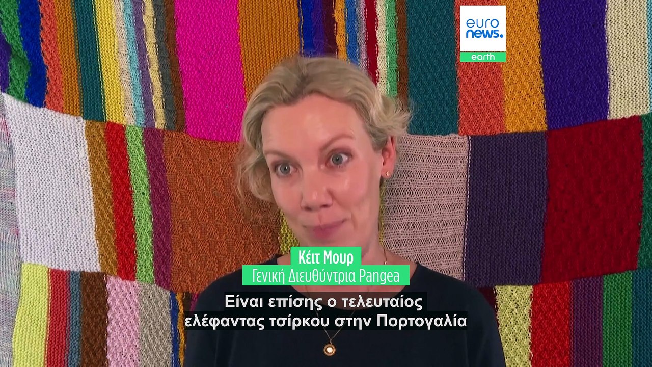 Ειδήσεις | 10 Ιουλίου 2026 - Μεσημβρινό δελτίο