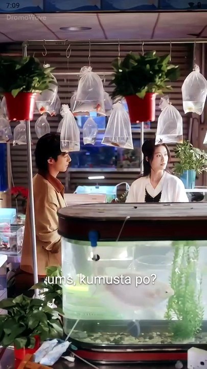 Watch Dalawang Isda Wala Sa Tubig Full Movies English Sub: Complete Full EPS