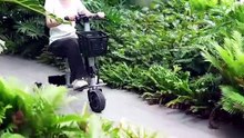 EB01-Tri-Fold Cruiser 3‑Way Fold to 44lbs 30‑40km Range by EBChallenger