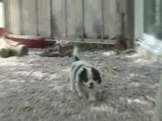 02.07.08 Delicatessen