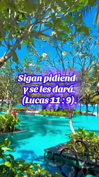 Reflexiones Bíblicas