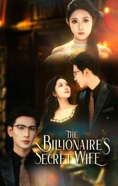 The Billionaire's Secret Wife