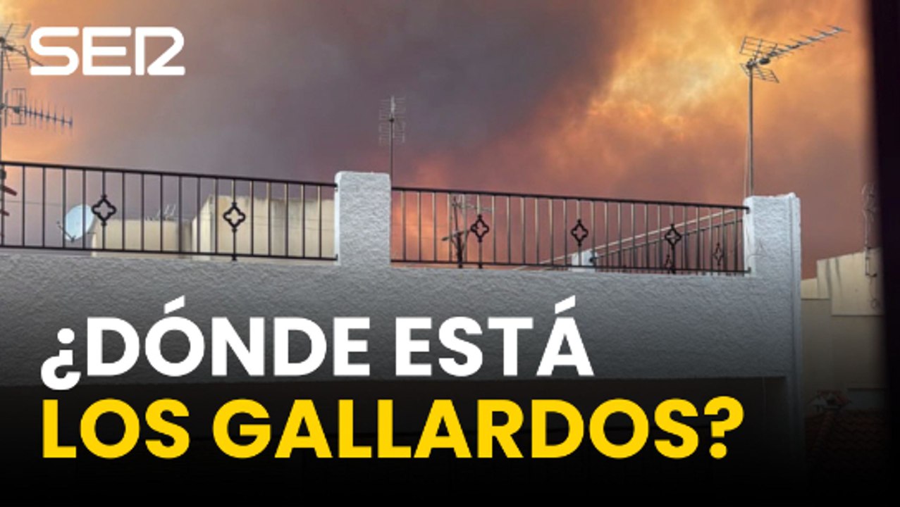 ¿Dónde están Los Gallardos y Bédar?