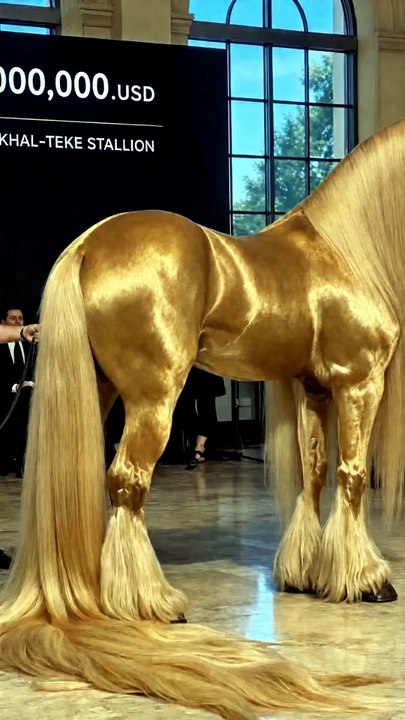 He Spent 20 Years Saving for This Moment… 🥹🐴