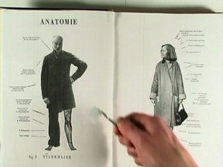 Les chimères des Svankmajer (Teaser DVD)