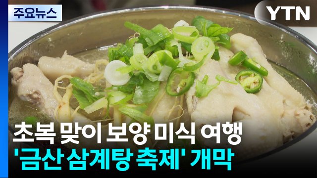 금산 삼계탕 축제 개막...초복 맞이 보양 미식 여행 / YTN
