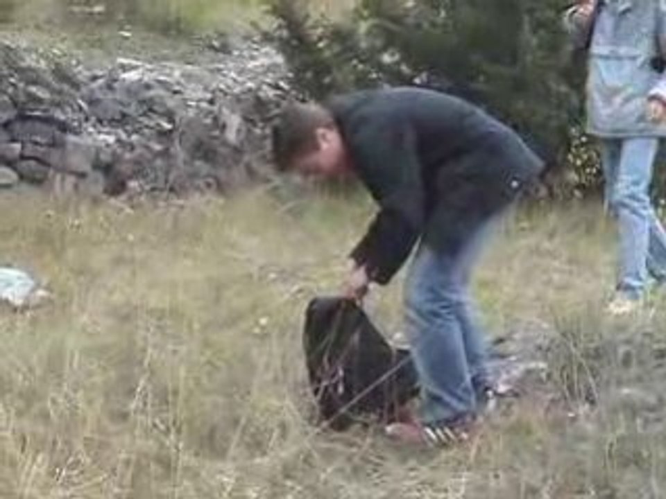 cailloux dans le sac