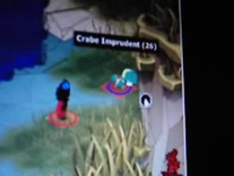 mo meilleur perso de dofus