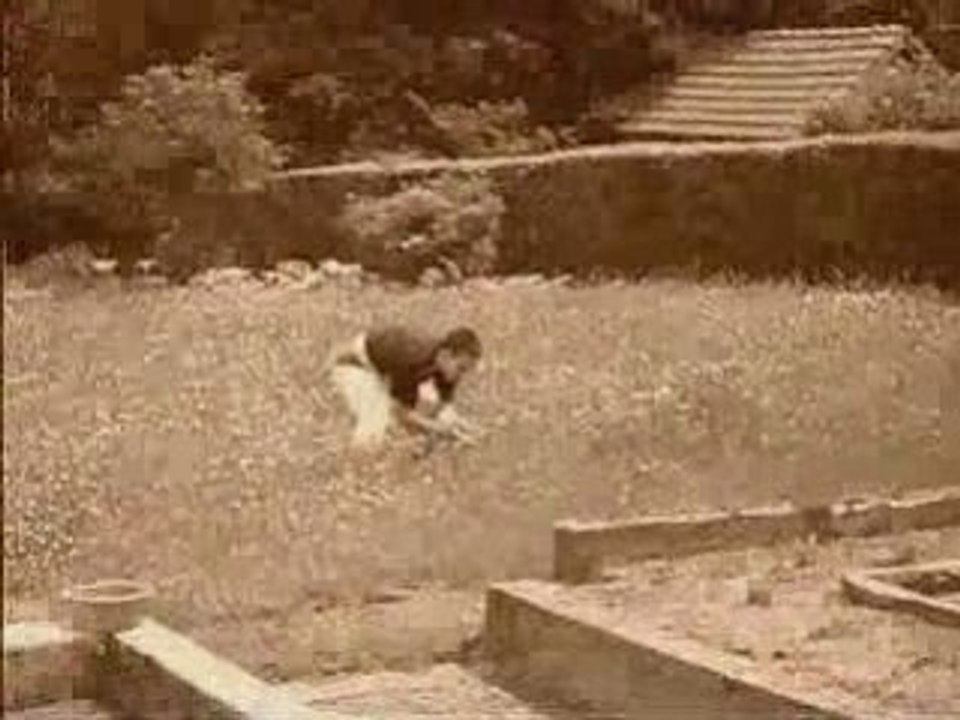 department of correction grind core metal punk brutal