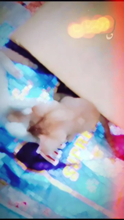 🐱 Tiny Kitten's Cutest Moment Will Melt Your Heart ❤️