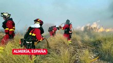 Devastador incendio forestal en España