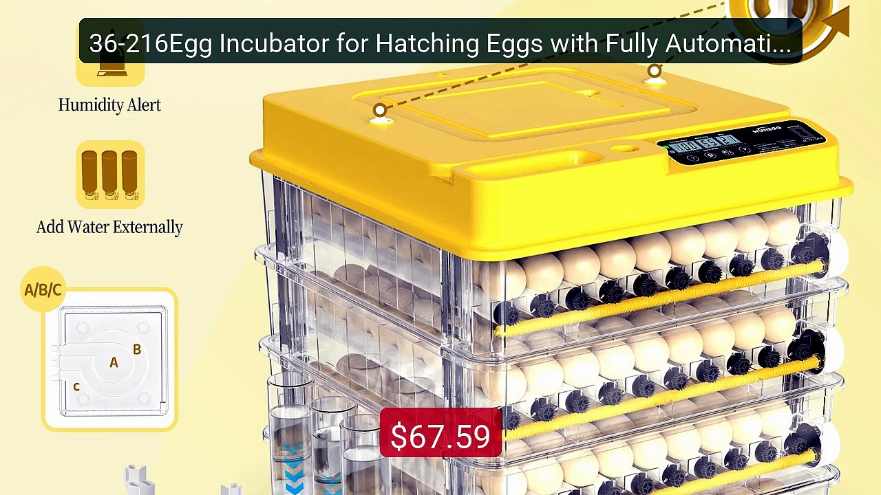 36-216Egg Incubator for Hatching Eggs with Fully Automatic Egg Turn... -- Top Rated 2026 | Buy Now!