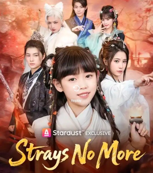 Strays No More Asdt