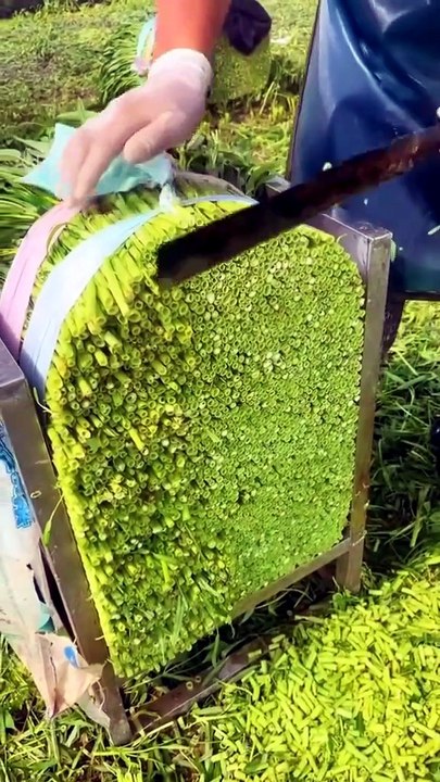 Can You Believe This Grows Naturally
