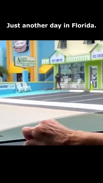 Florida Man Carries Alligator Into Store 🐊🌴