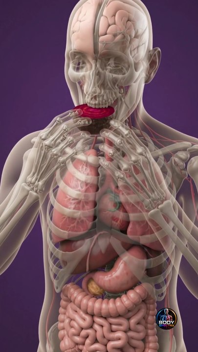Ever wondered what REALLY happens inside your body when you eat beetroot 🍷👀 It’s way more than just a colorful veggie!