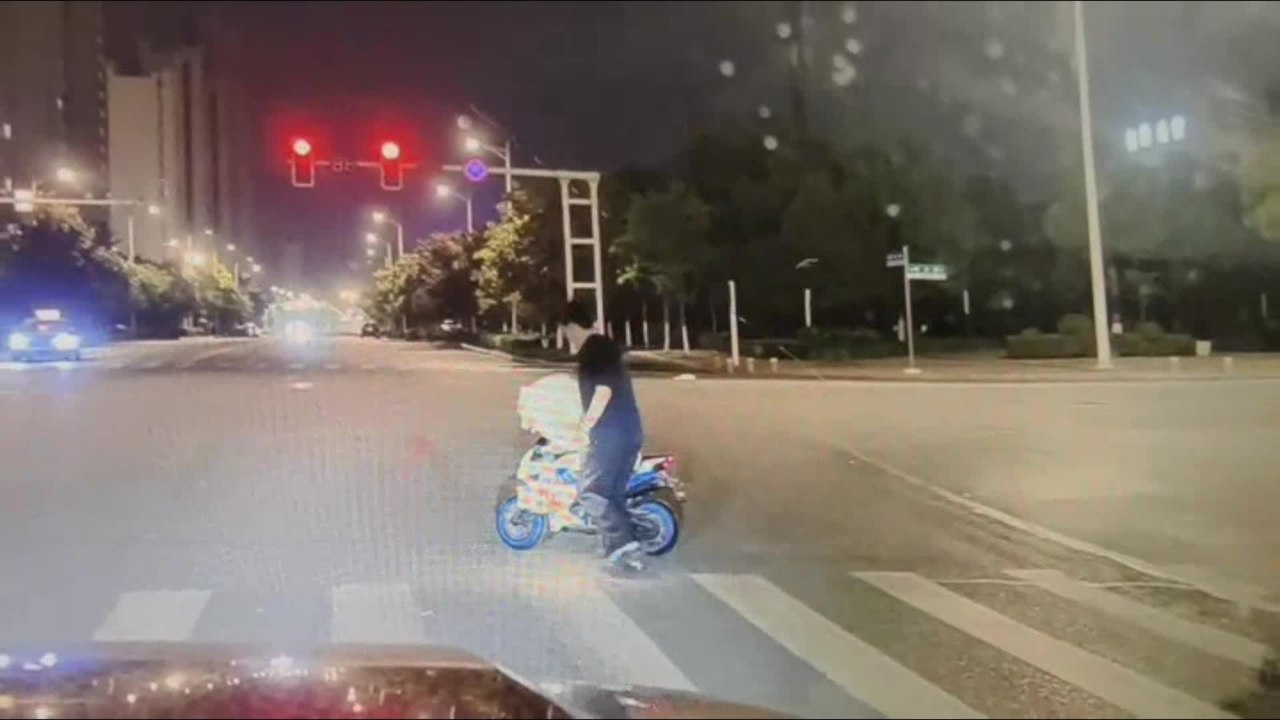Dog Appears to Ride Electric Scooter All by Itself in Hilarious Scene