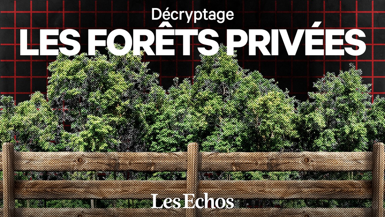 Le business méconnu des forêts privées