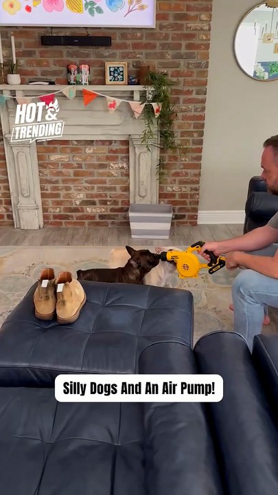 Dogs Show Hilarious Reactions to Air Pump Surprise