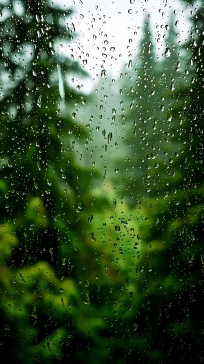 Relaxing Nature Sounds 20 Seconds - Rain Waterfall Ocean Forest for Stress Relief