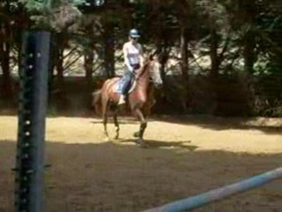 Opaline de rhodes 009