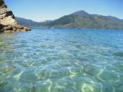 Latina musicas .. salsa meringue .. new 2008 summer