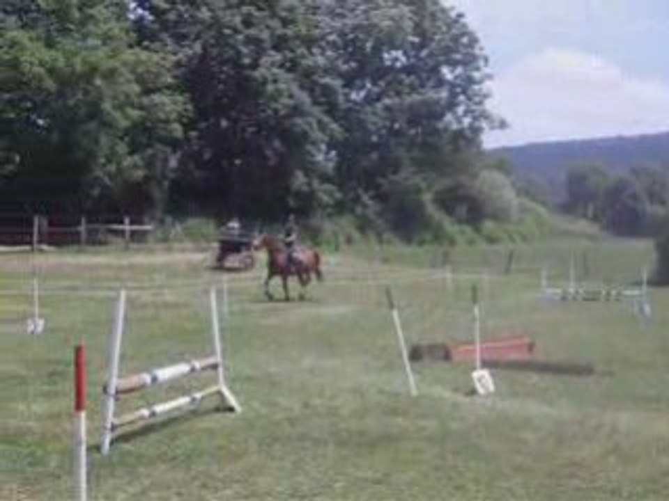Mon parcours