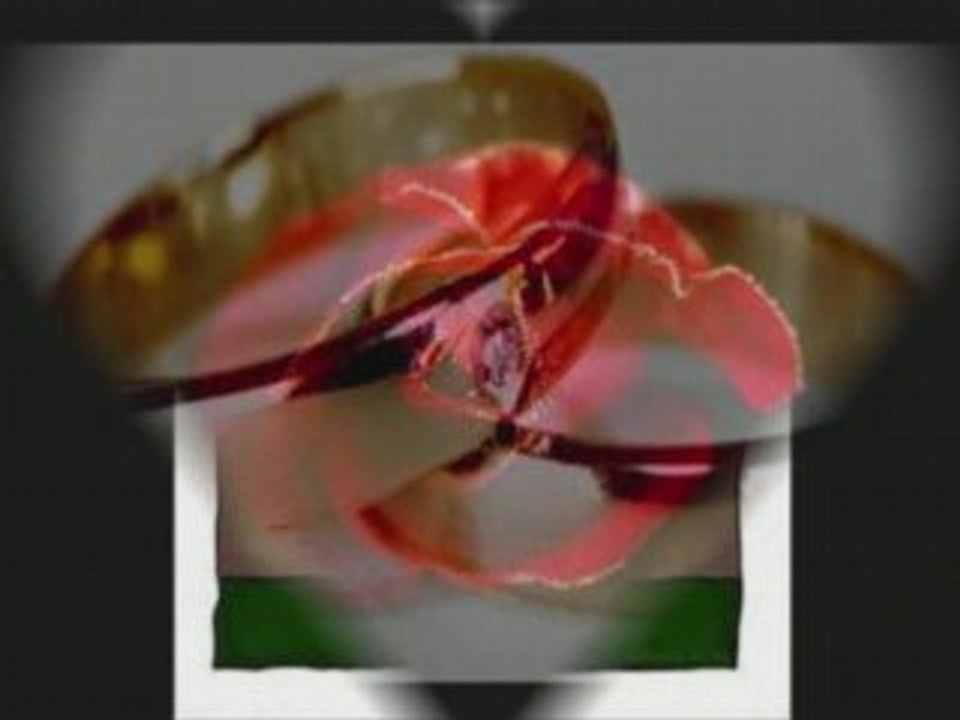 Bébé et moi 1ans de souvenirs