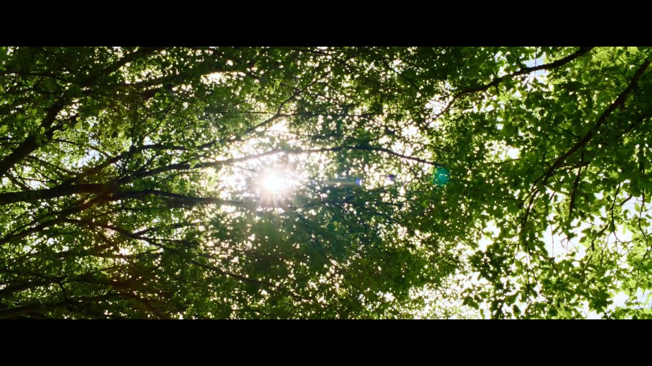 Billie Melody | movie | 2026 | Official Trailer