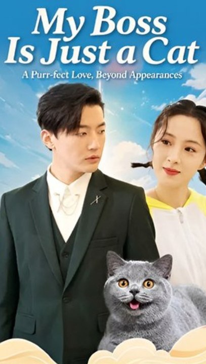 My Boss is a Cat Episode ENGSUB Fantasy Romance, Talking Cat, Workplace Drama