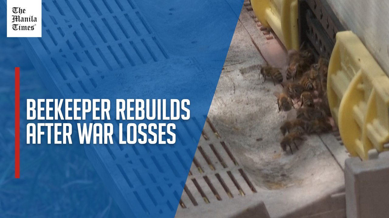 Lebanese beekeeper faces years of recovery after war destroys hives