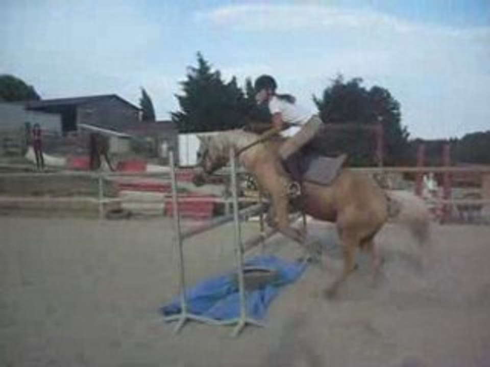 Moi et Pacco