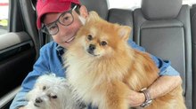 Pepillo Origel manda indirecta a Pedro Sola por polémica sobre perros