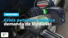 Tensiones en Medio Oriente provocan un posible auge para el biodiesel