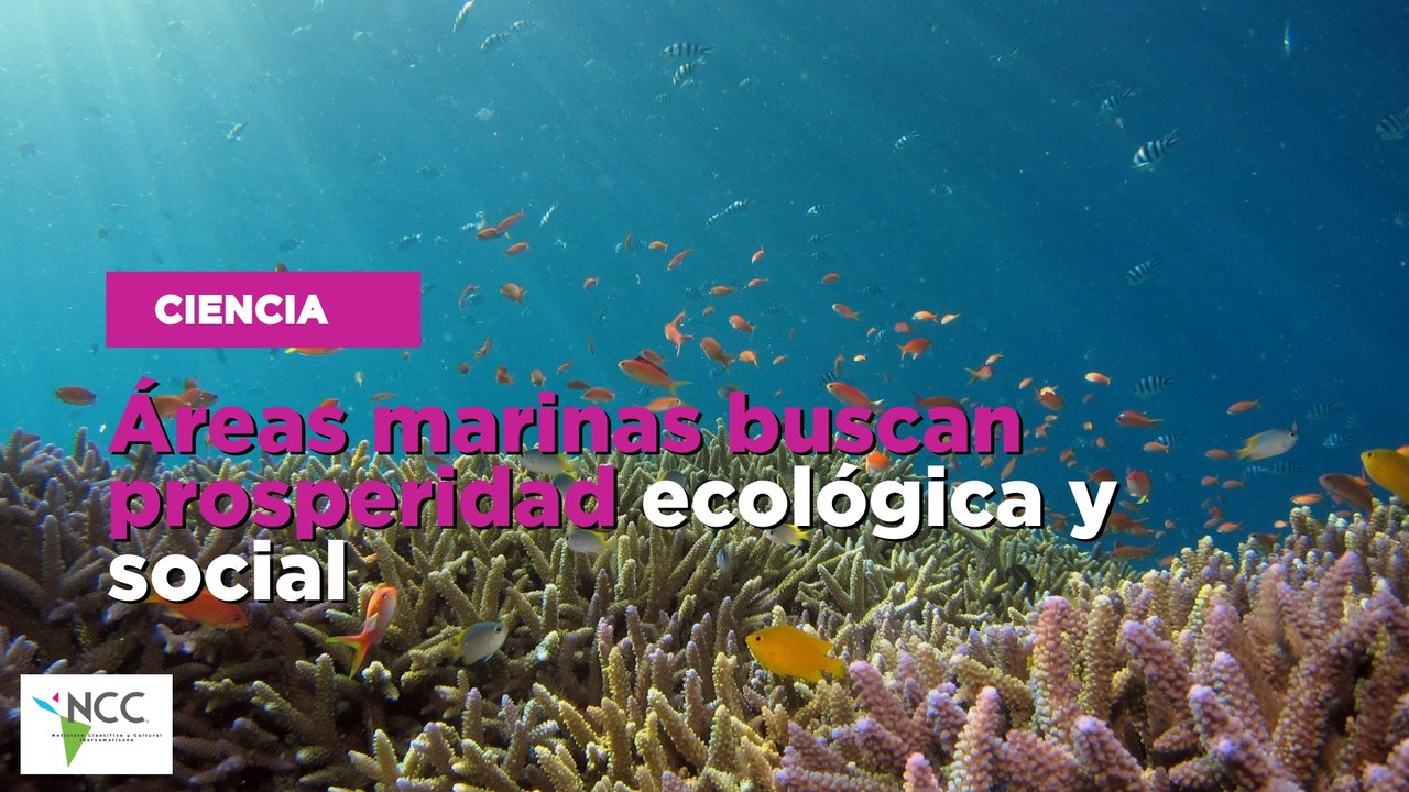 Áreas marinas buscan prosperidad ecológica y social