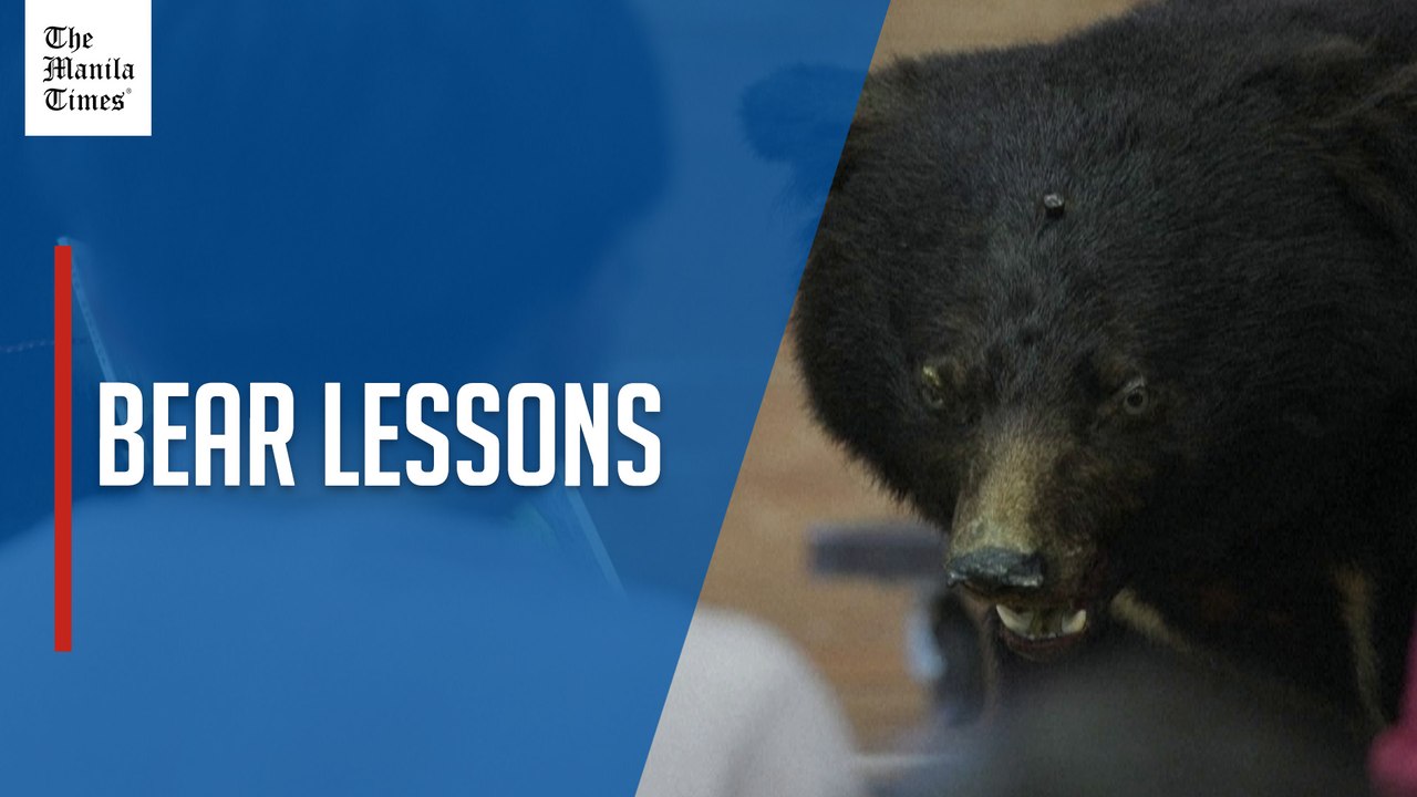 Japanese school kids get up-close lessons on wild bear threat