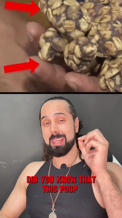 This Coffee Comes From Animal Poop | The Science of Kopi Luwak