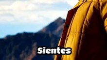 NO TE DESANIMES!