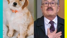 ¡Gerardo Chuela responde a Pedro Sola y le manda fuerte mensaje por la polémica de los perritos!